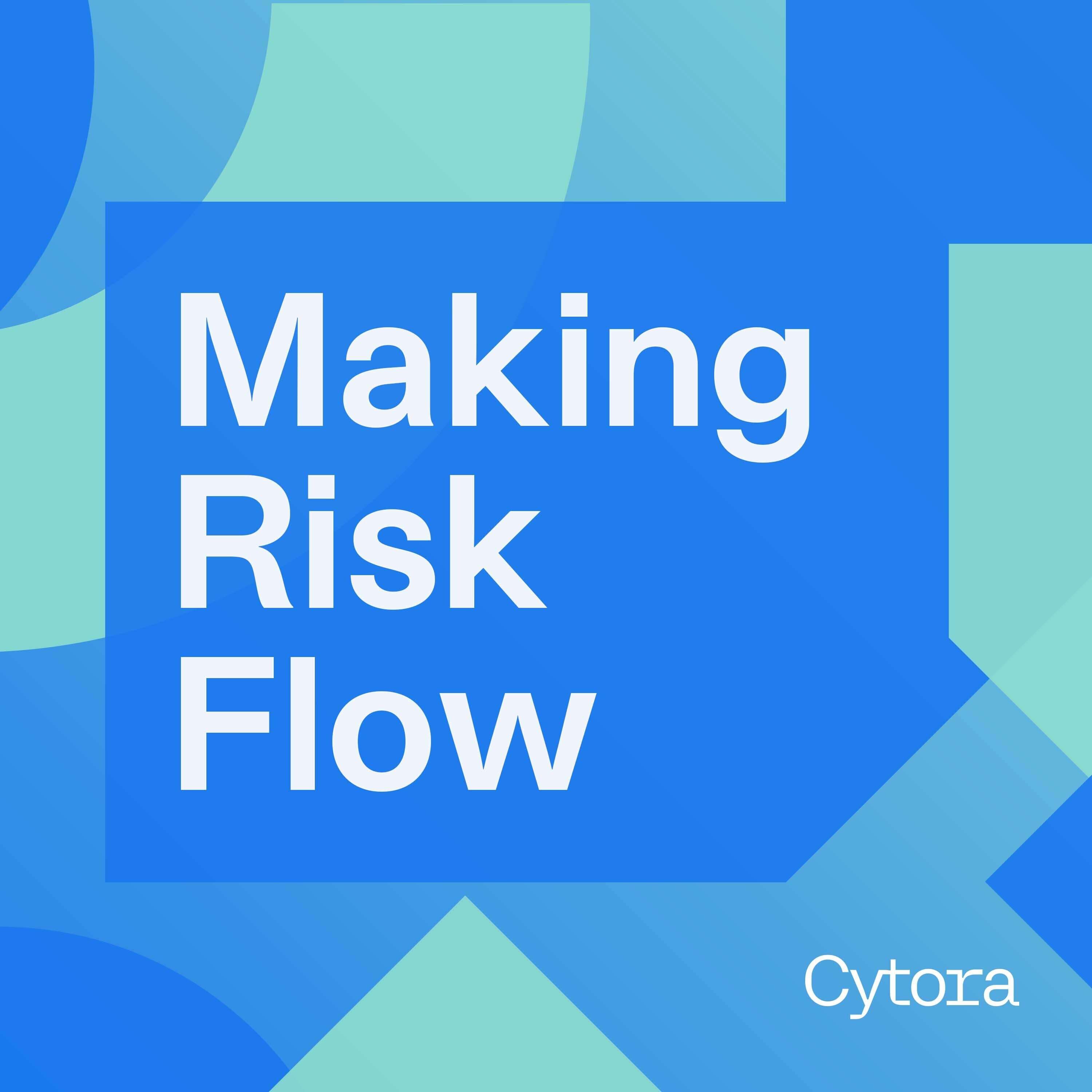 Making Risk Flow by Cytora