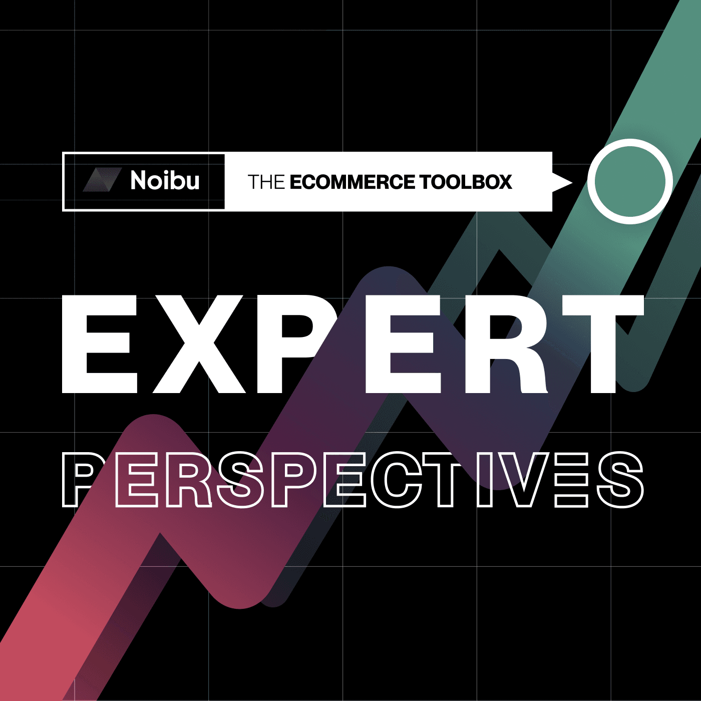 The Ecommerce Toolbox: Expert Perspectives by Noibu